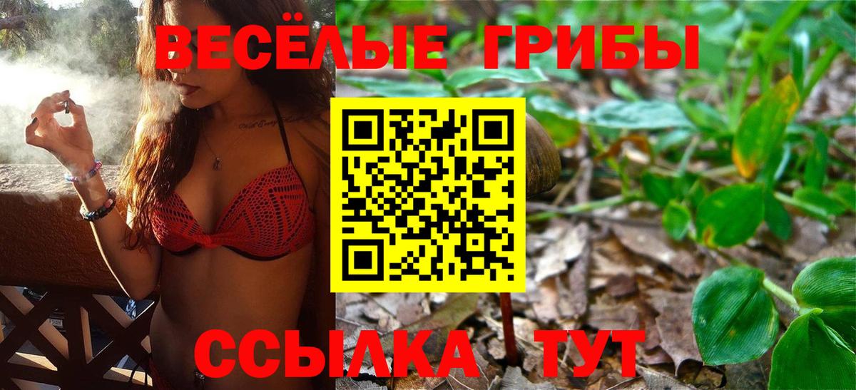 Кинель  Псилоцибиновые грибы Psilocybine cubensis  Вход с VPN  Галлюциногенные грибы ЛСД 